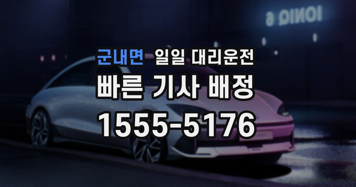 군내면 일일 대리운전