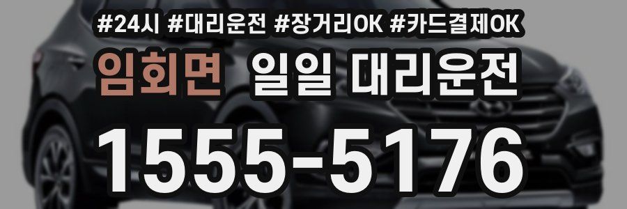 임회면 일일 대리운전