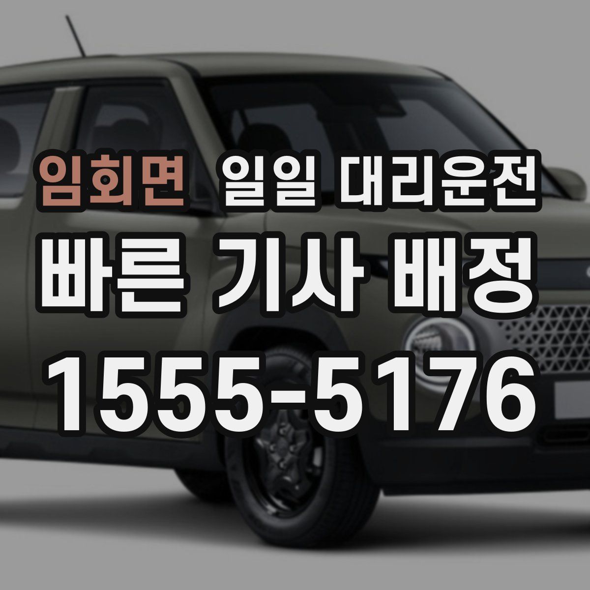 임회면 일일 대리운전