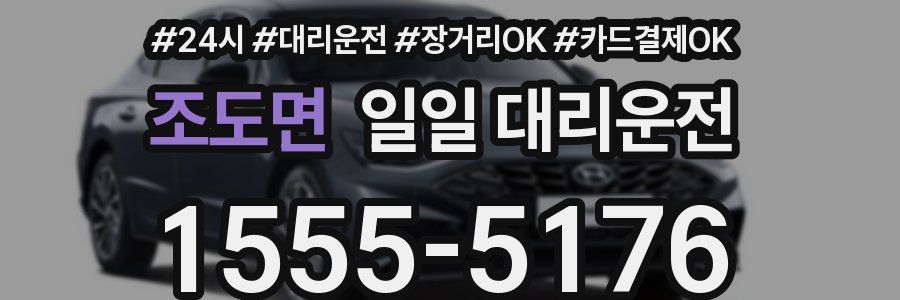 조도면 일일 대리운전