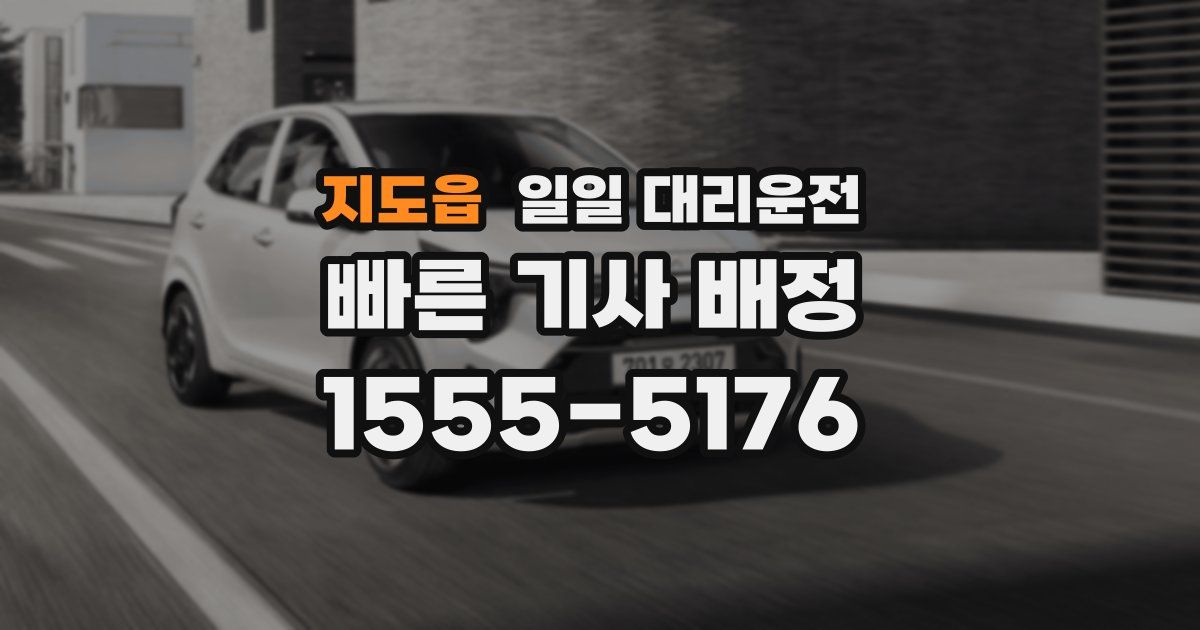 지도읍 일일 대리운전