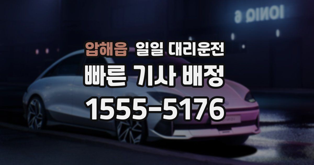 압해읍 일일 대리운전