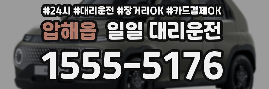 압해읍 일일 대리운전
