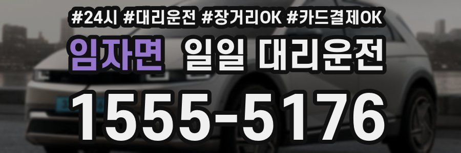 임자면 일일 대리운전