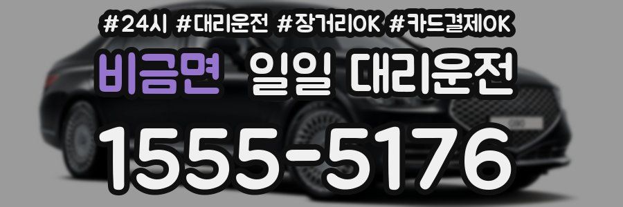 비금면 일일 대리운전