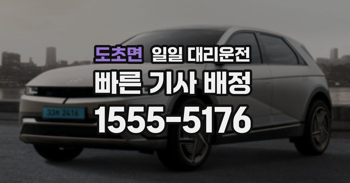 도초면 일일 대리운전
