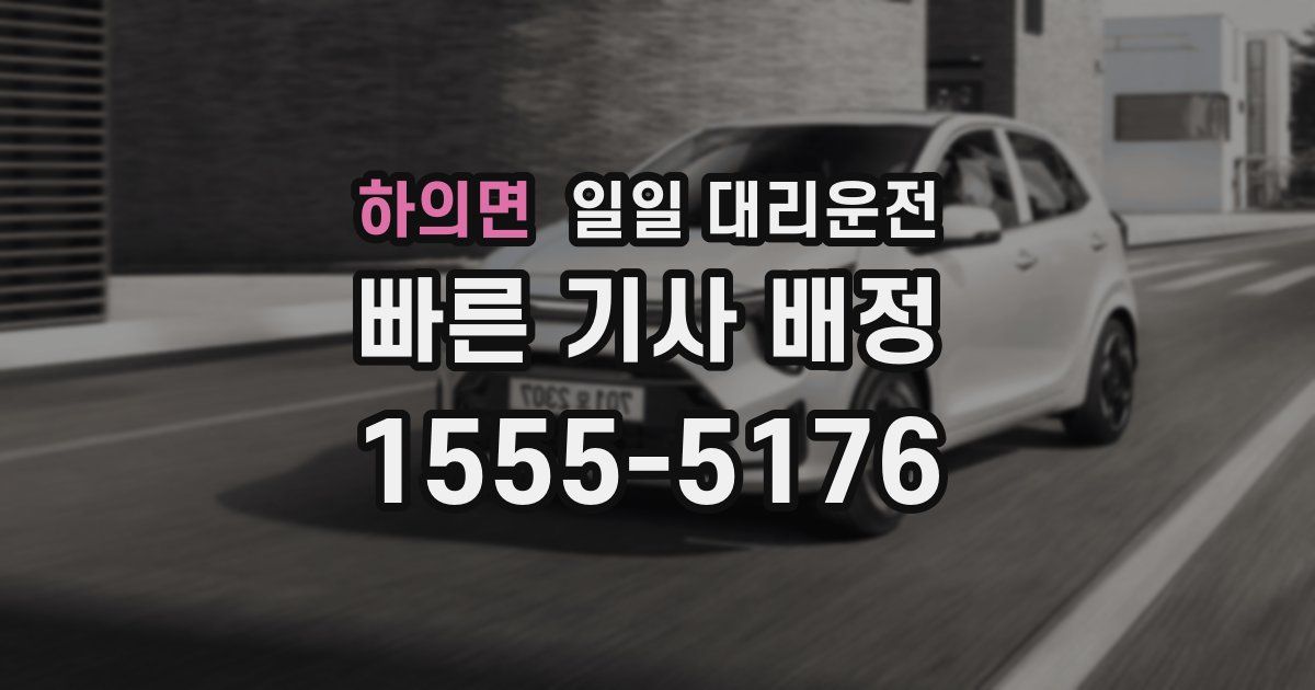하의면 일일 대리운전