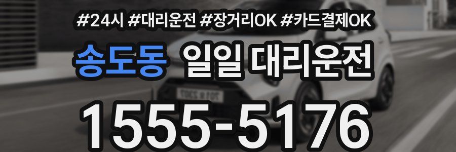 송도동 일일 대리운전