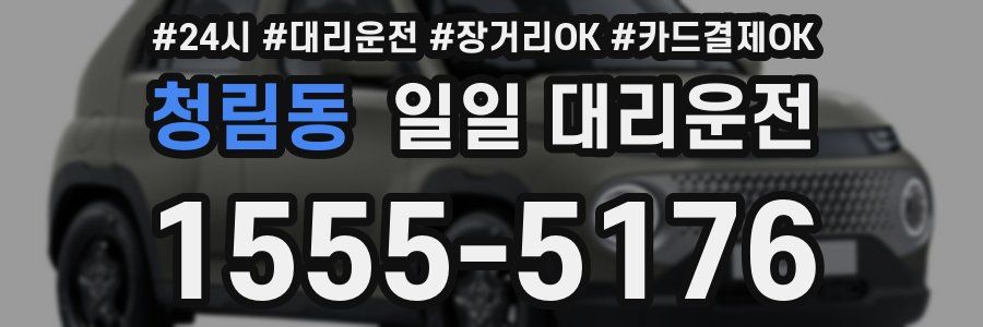 청림동 일일 대리운전