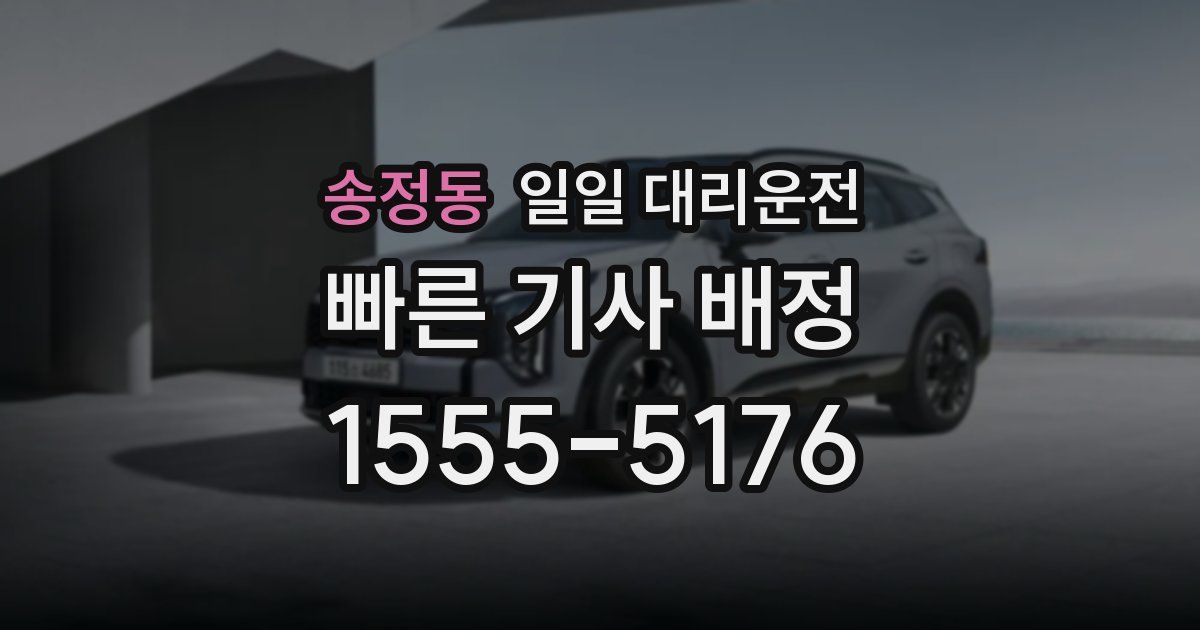 송정동 일일 대리운전