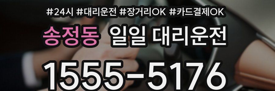 송정동 일일 대리운전