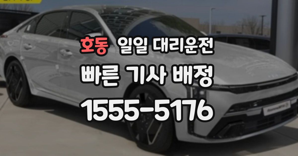 호동 일일 대리운전