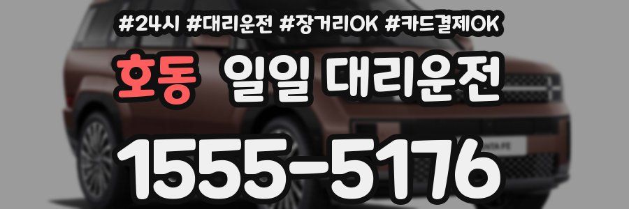 호동 일일 대리운전
