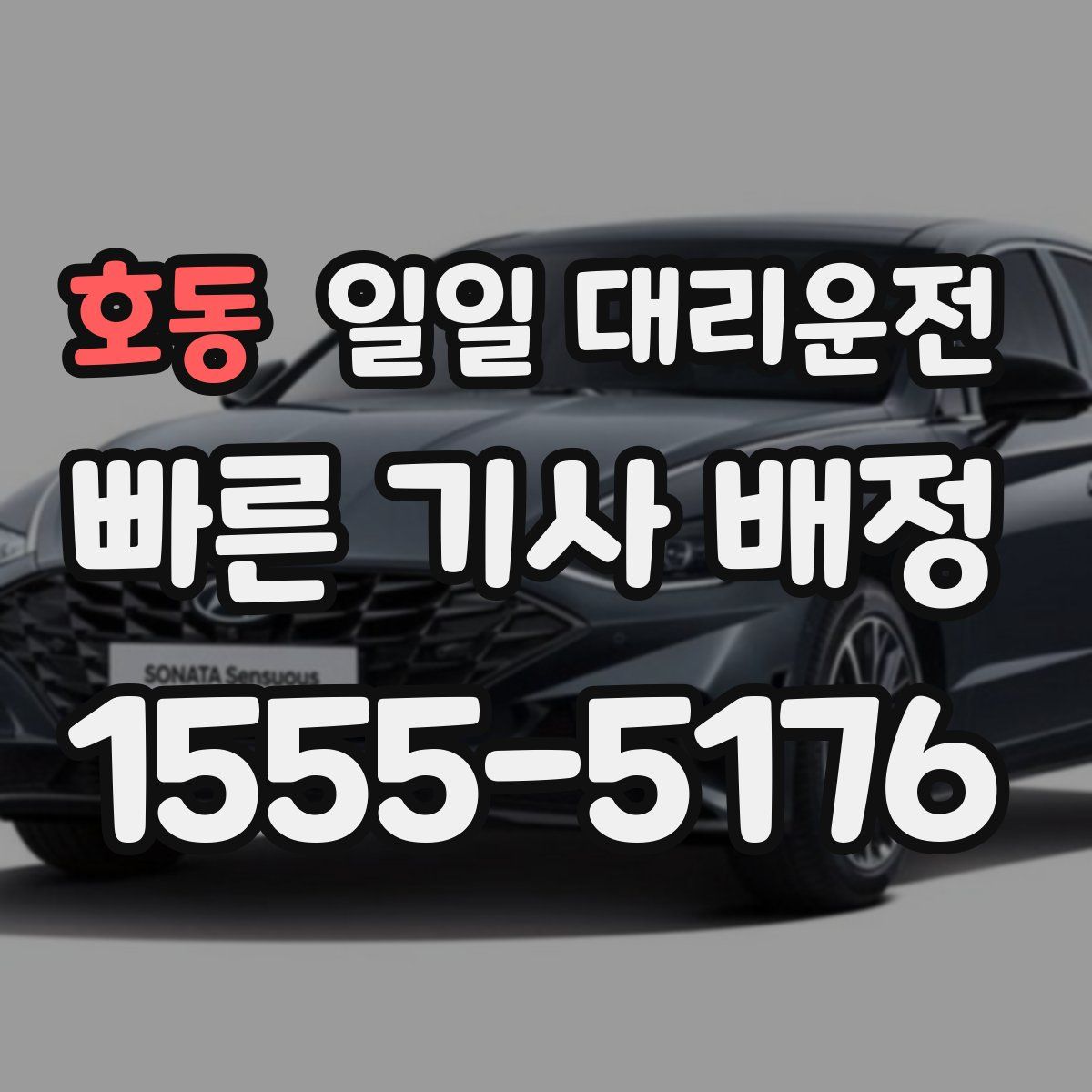 호동 일일 대리운전