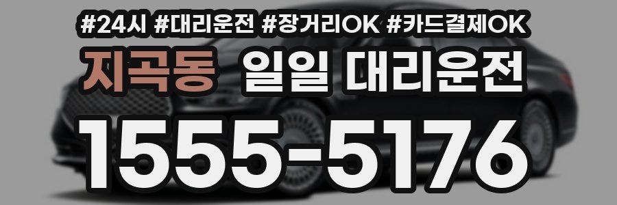 지곡동 일일 대리운전
