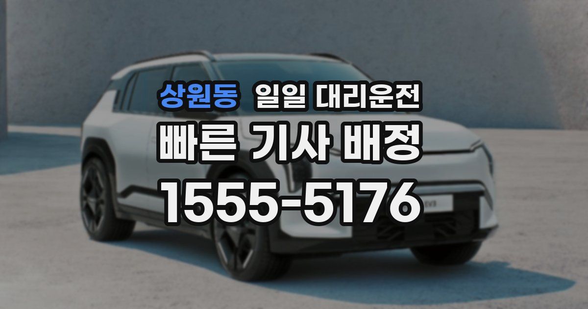 상원동 일일 대리운전