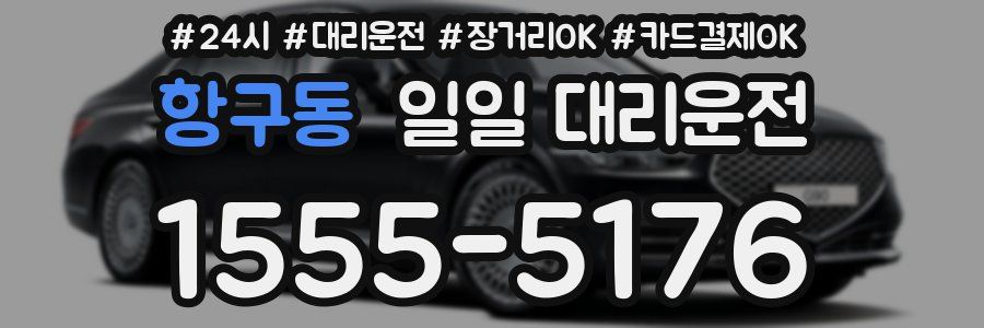 항구동 일일 대리운전