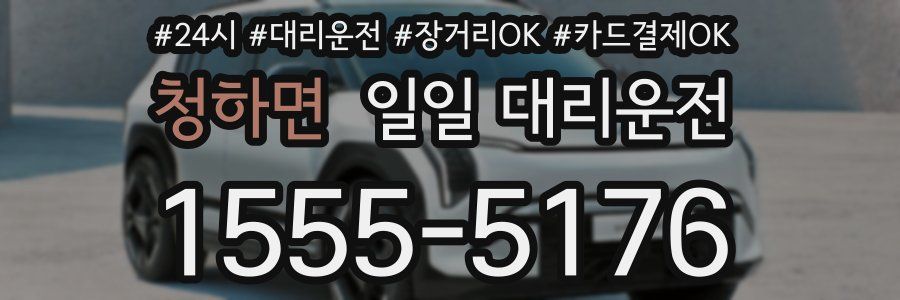 청하면 일일 대리운전