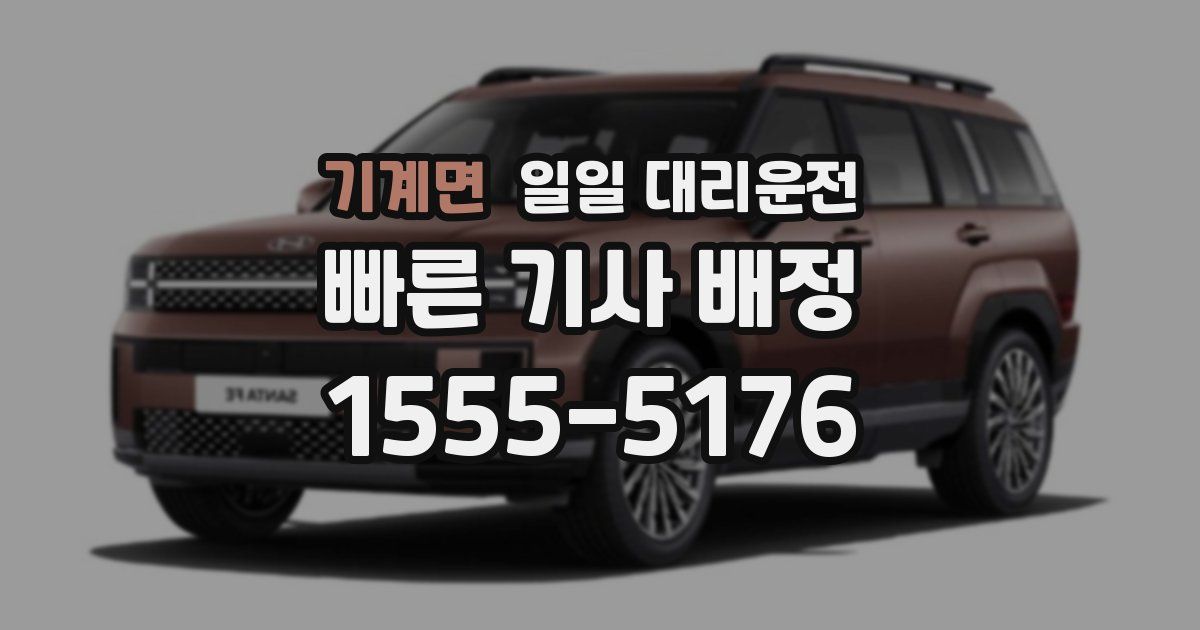 기계면 일일 대리운전