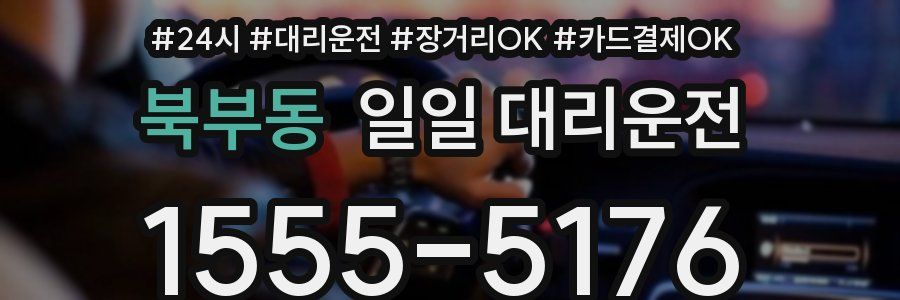 북부동 일일 대리운전