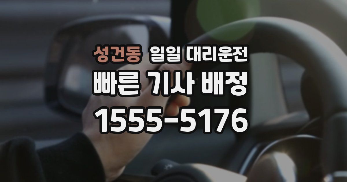 성건동 일일 대리운전