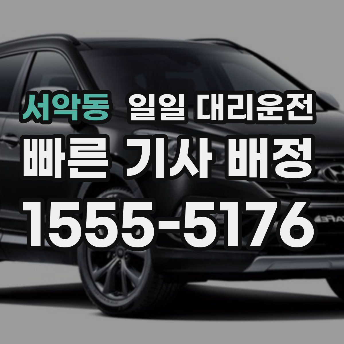 서악동 일일 대리운전