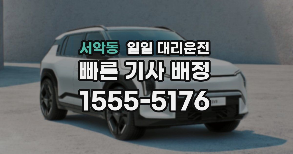 서악동 일일 대리운전