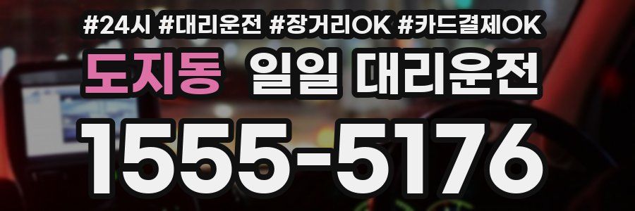 도지동 일일 대리운전