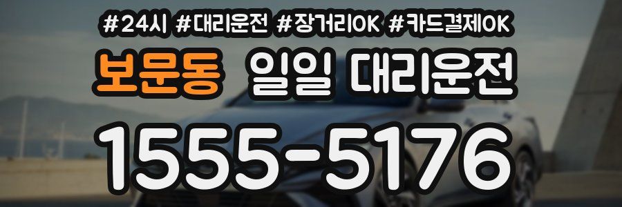 보문동 일일 대리운전
