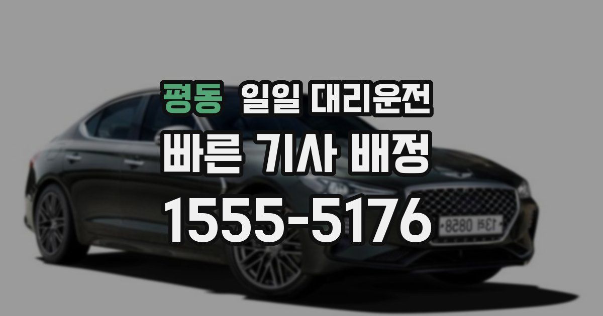 평동 일일 대리운전