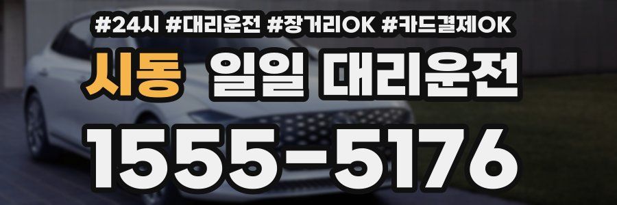 시동 일일 대리운전