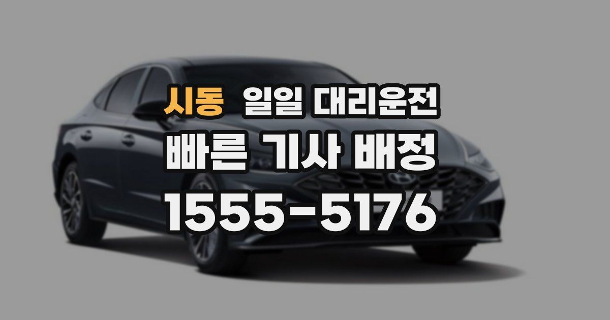 시동 일일 대리운전