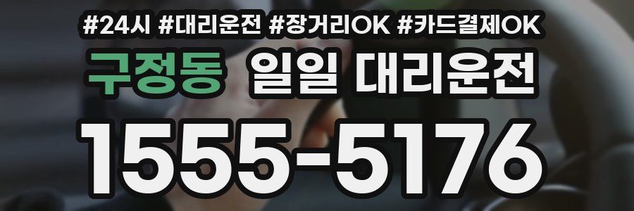 구정동 일일 대리운전