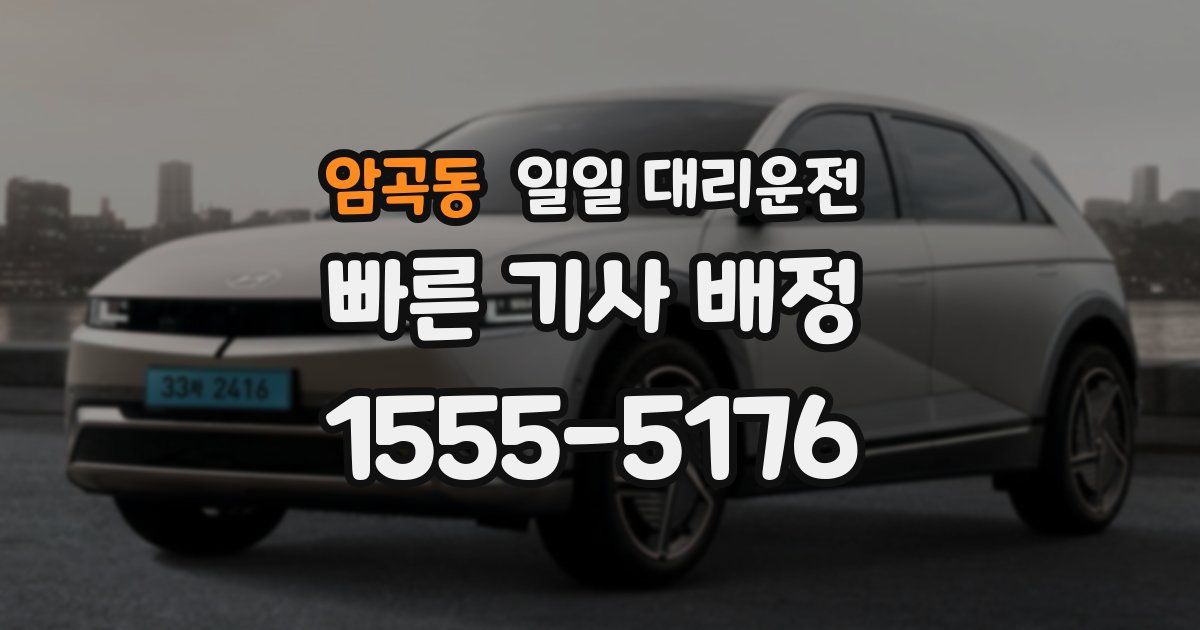 암곡동 일일 대리운전