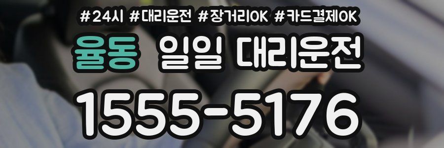 율동 일일 대리운전