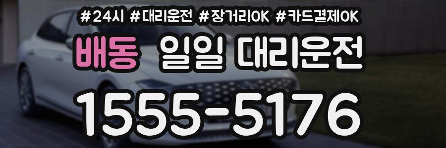 배동 일일 대리운전