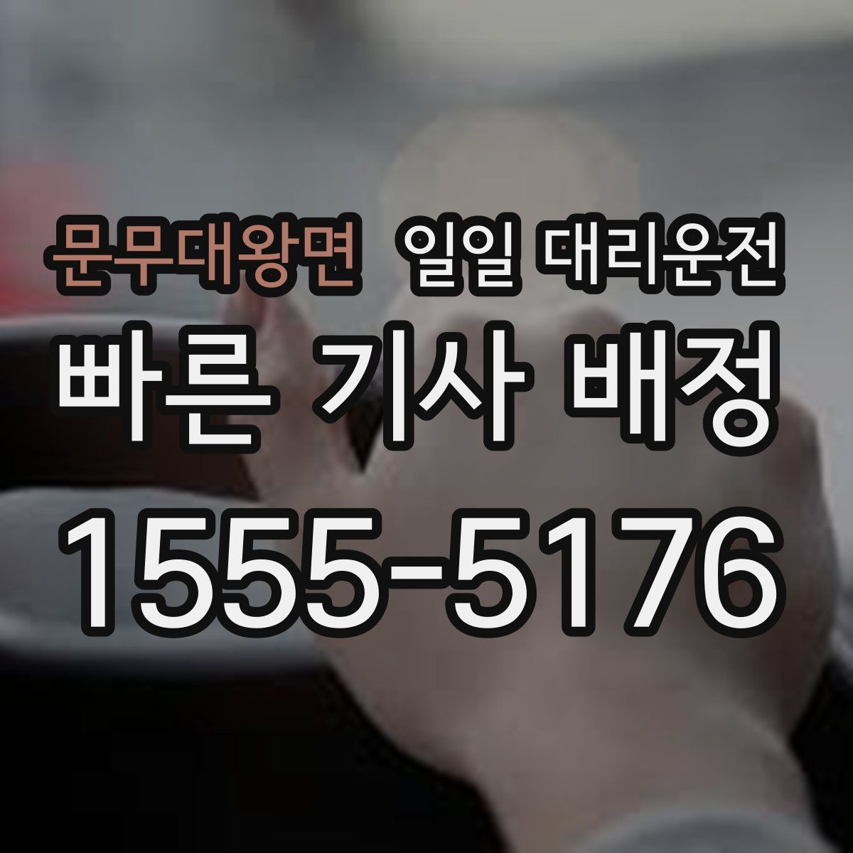 문무대왕면 일일 대리운전