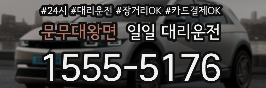 문무대왕면 일일 대리운전
