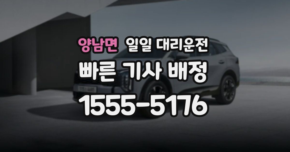 양남면 일일 대리운전