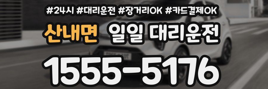 산내면 일일 대리운전