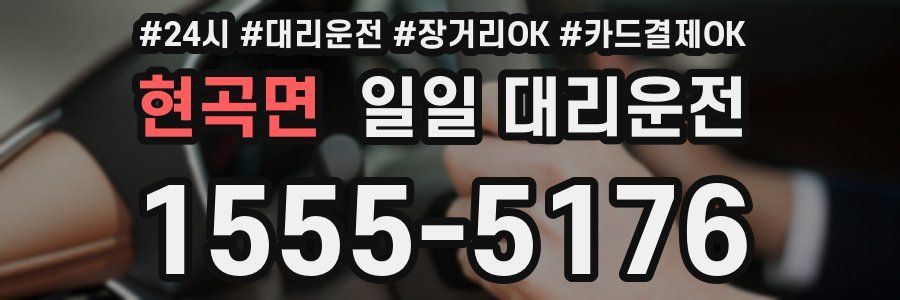 현곡면 일일 대리운전