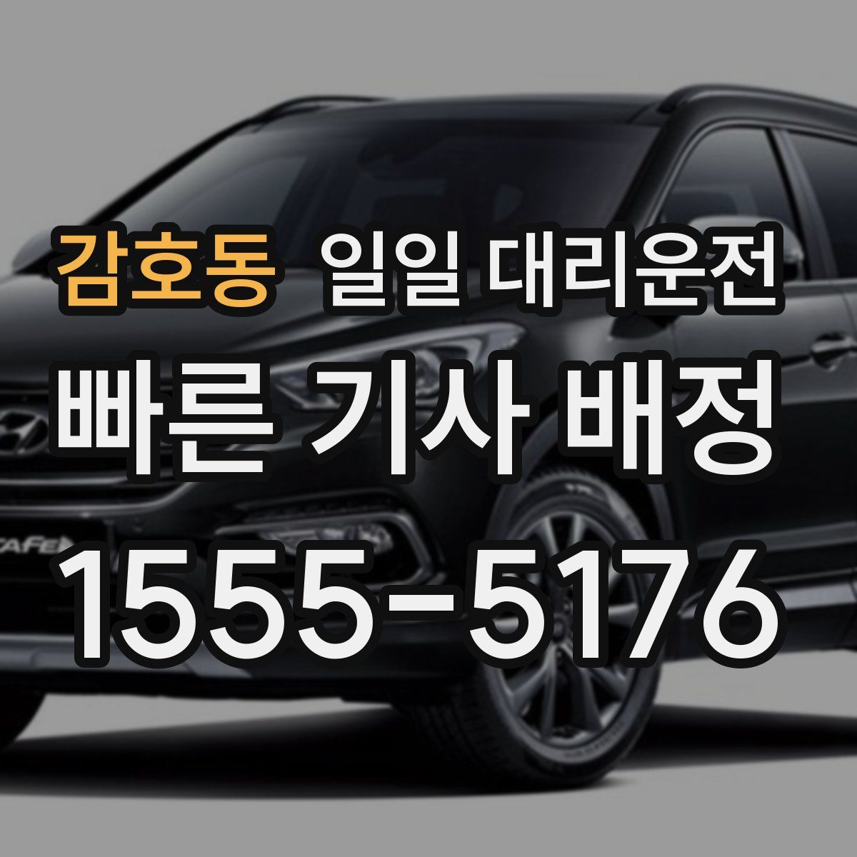 감호동 일일 대리운전