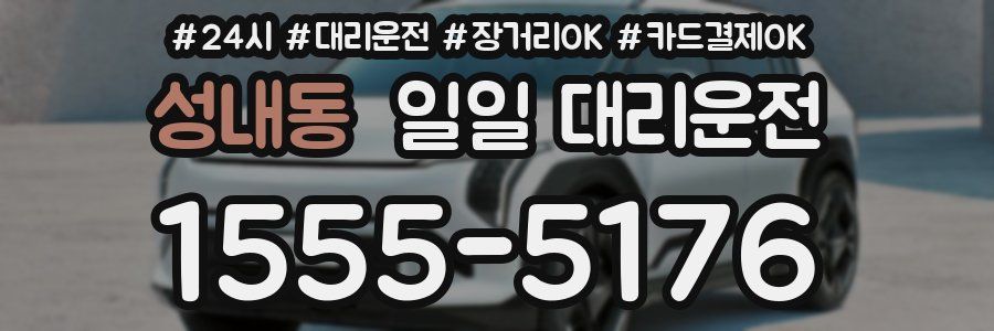 성내동 일일 대리운전