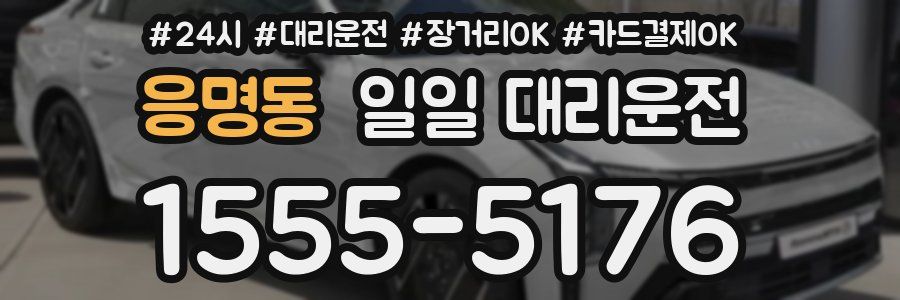 응명동 일일 대리운전