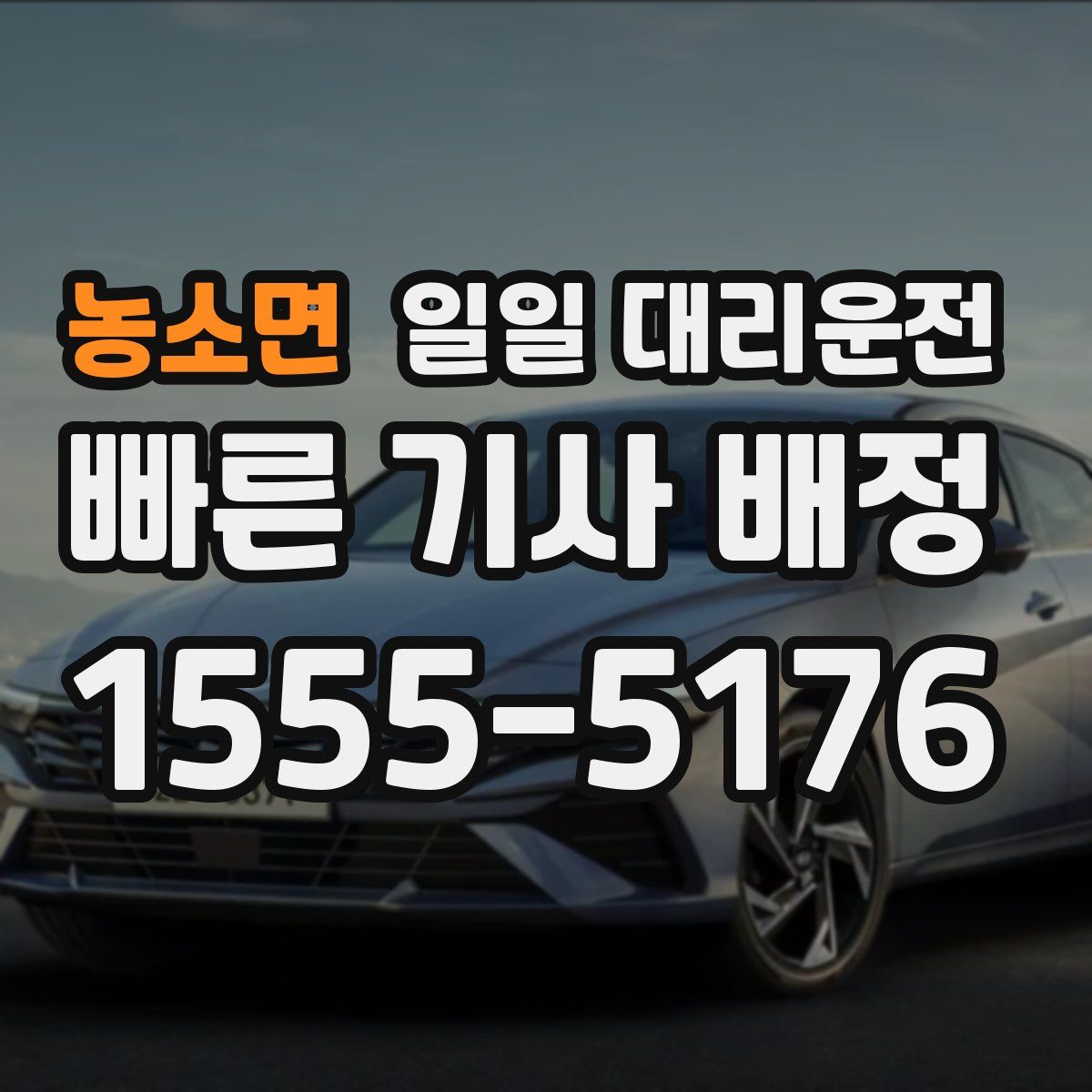 농소면 일일 대리운전