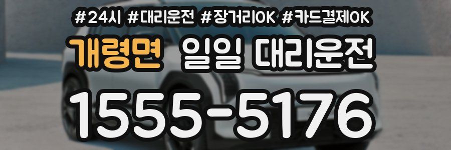 개령면 일일 대리운전