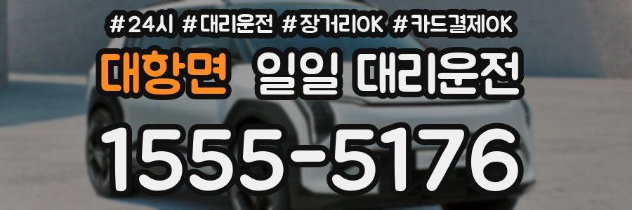 대항면 일일 대리운전