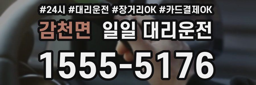 감천면 일일 대리운전