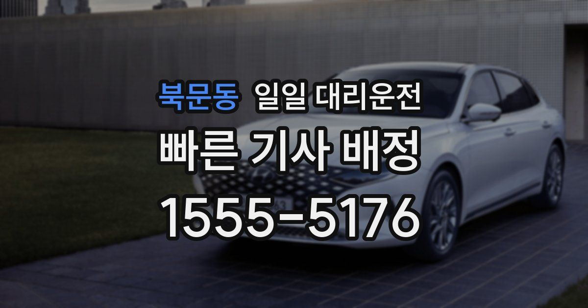 북문동 일일 대리운전