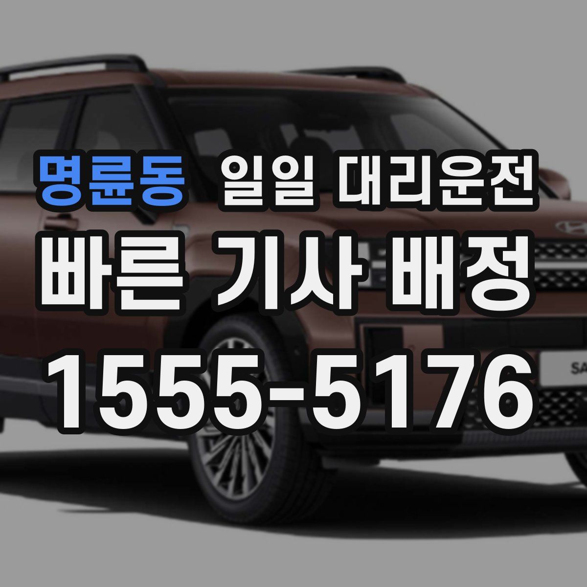 명륜동 일일 대리운전